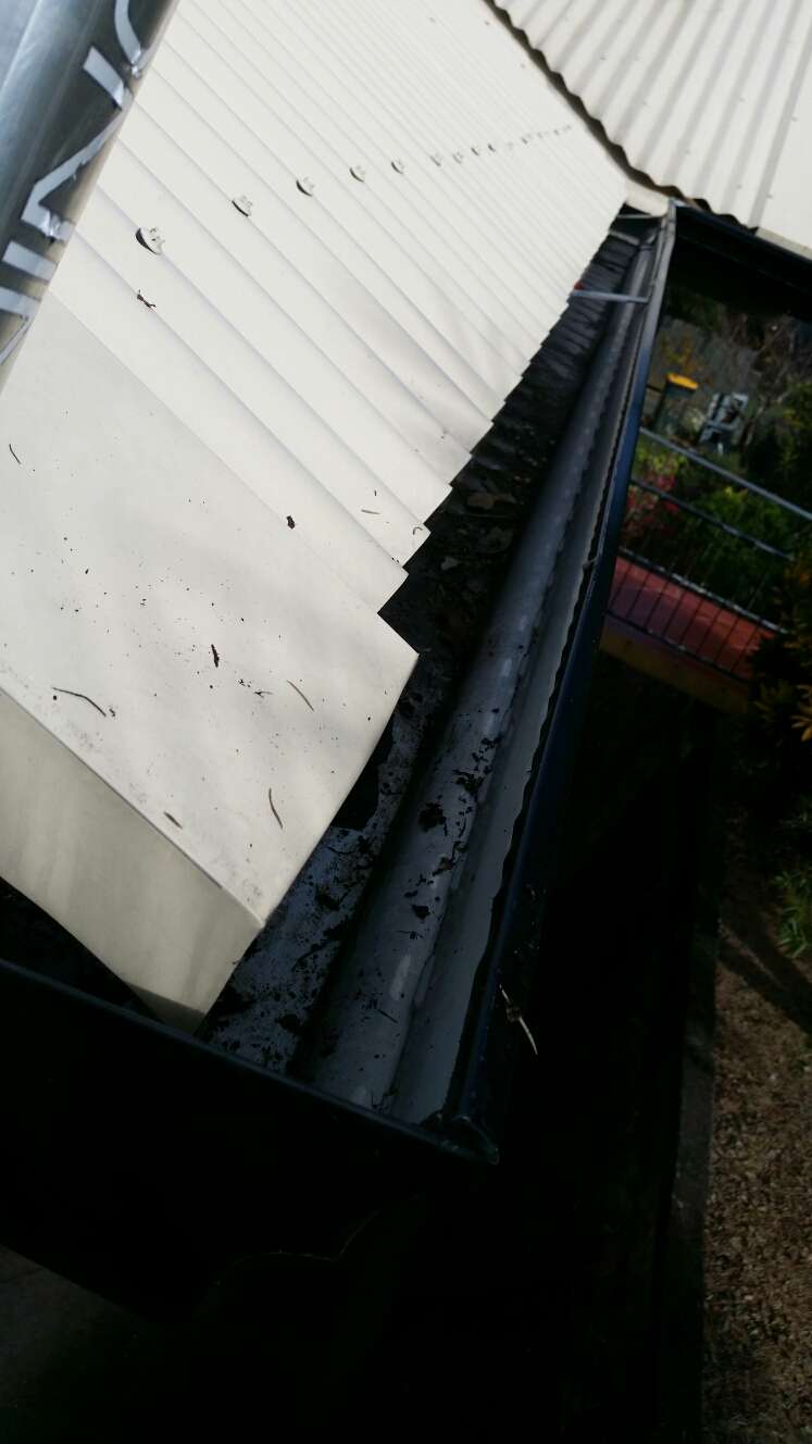 Gutter Clean Milton
